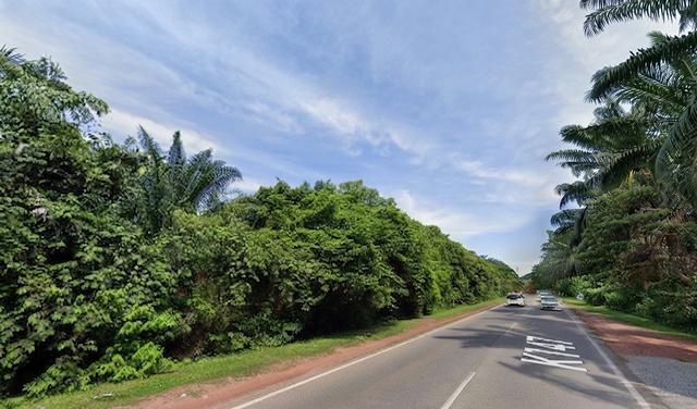 3.32 Acres Residential Zoning Ayer Putih,Pendang,Kedah @ RM 10/sqft photo