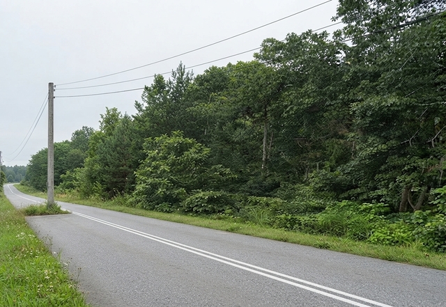 10.88 Acres Residential Zoning Mukim Jabi, Pokok Sena, Kedah  photo