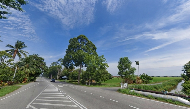 7.39 Acres Residential Zoning Pekan Teroi,Yan, Kedah @ RM 9 per sq.ft photo