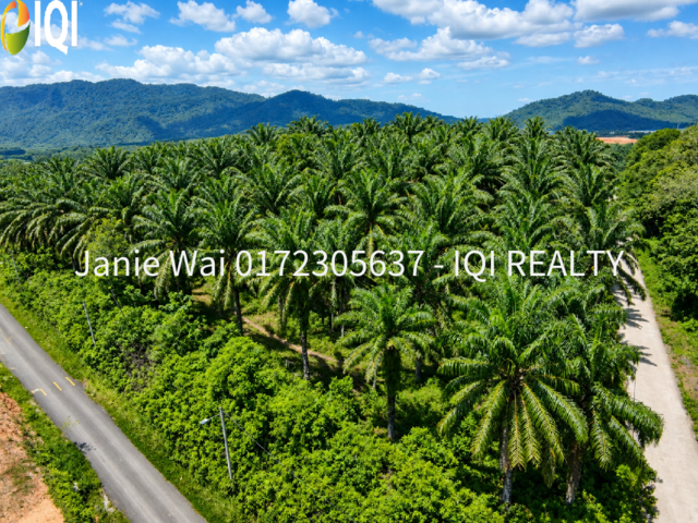 Semenyih Sungai Lalang Industrial Land Freehold 5.48 acres image