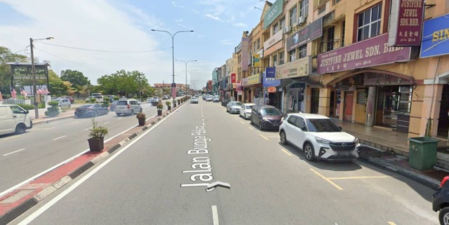 Jalan Bunga Pekan Banting image