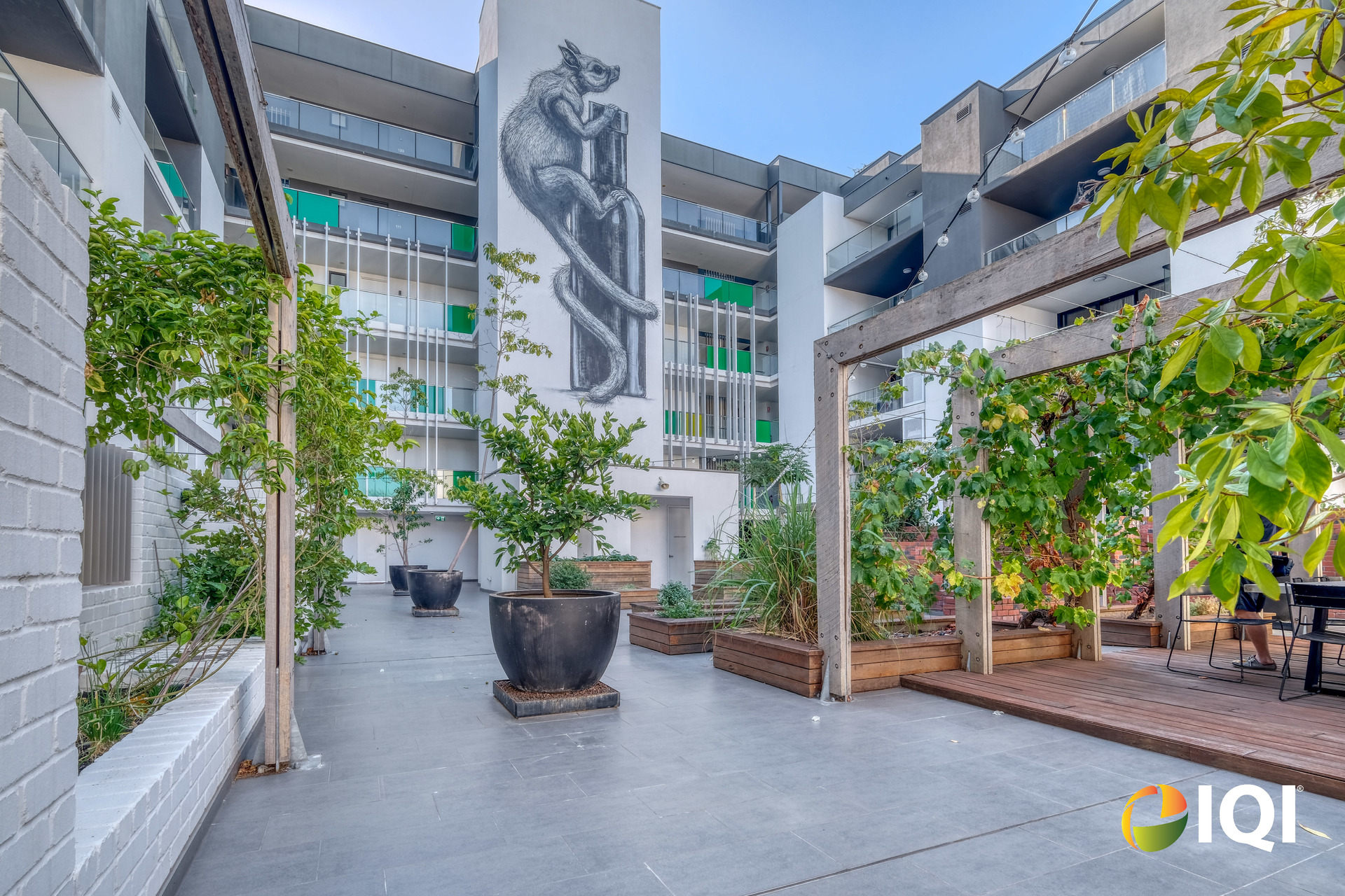 Contemporary Bottleyard Living Overlooking Robertson Park image