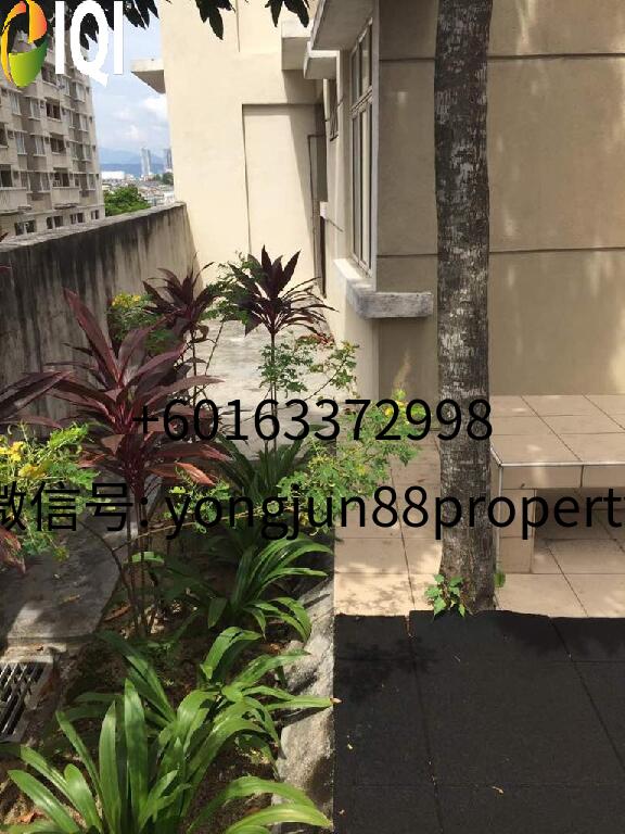 Fortune Avenue image