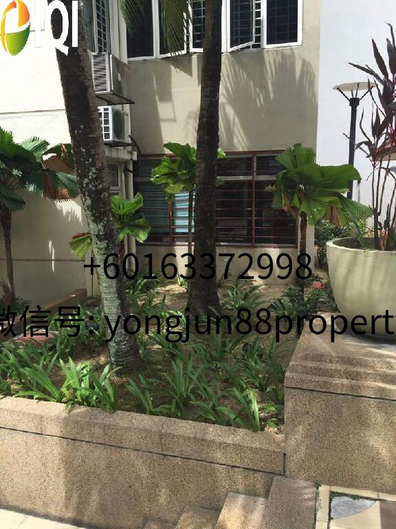 Fortune Avenue image