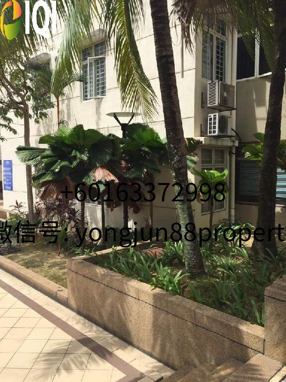 Fortune Avenue image