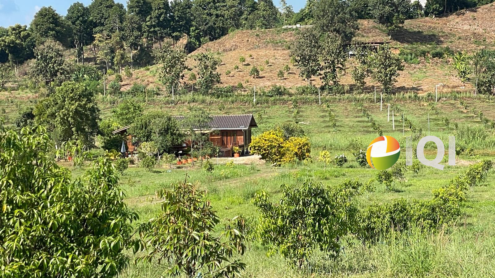 For Sale 16-Rai Turnkey Lifestyle Estate – Uttaradit image