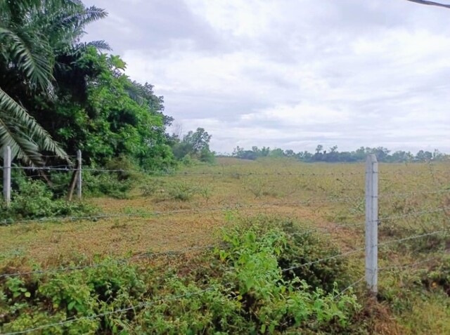 54.02 Acres Residential Zoning Seksyen 8, Sg Petani @ RM 8.50/Sqft