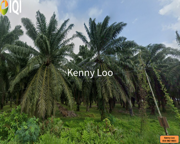 Rompin image