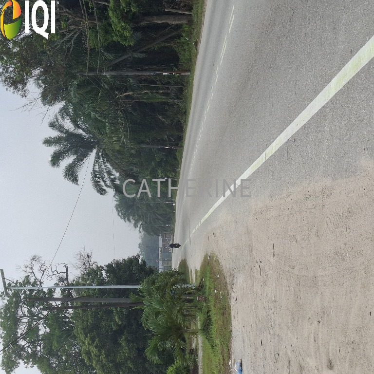 Sungai Tiram Medium Industrial Land image