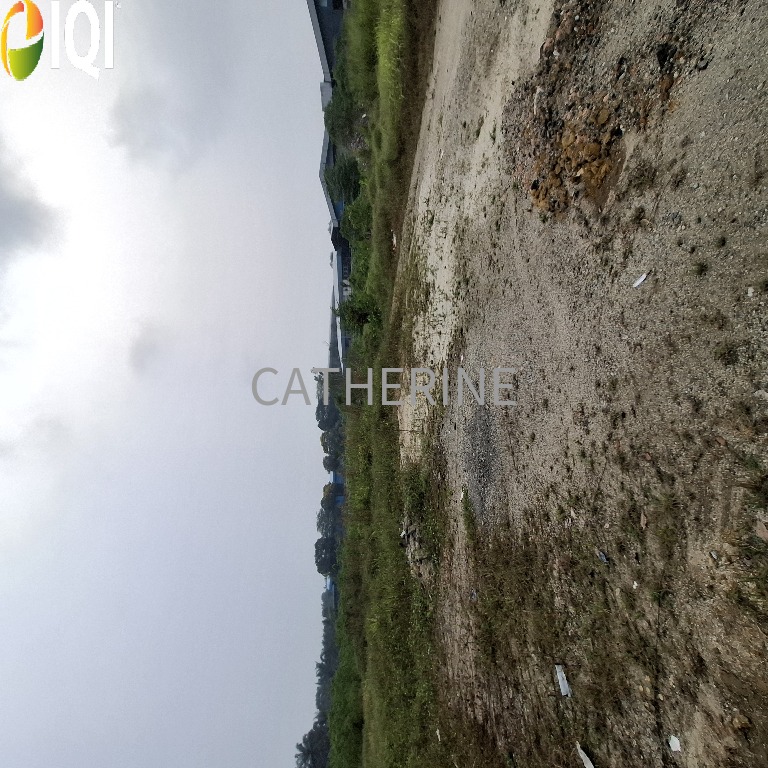 Sungai Tiram Medium Industrial Land image