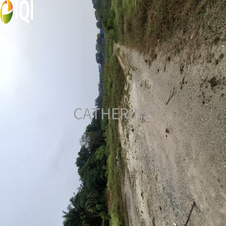 Sungai Tiram Medium Industrial Land image