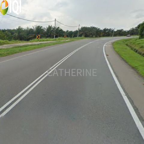 Kota Tinggi Agricultural Land image