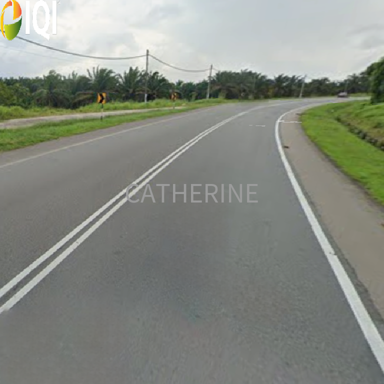 Kota Tinggi Agricultural Land image
