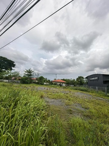 JALAN TUARAN LAMA photo