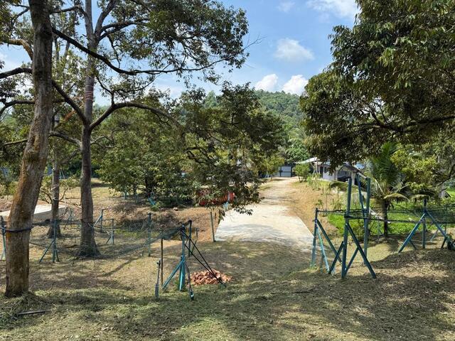 RARE FREEHOLD Land W Mineral Water/Durian Farm & Farmhouse @ Raub Pahang photo