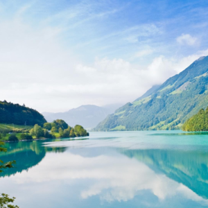 Siaw Weiprofile picture