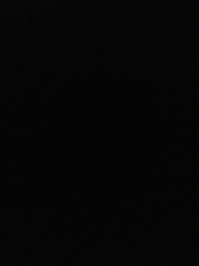 Wilson Chung's profile picture