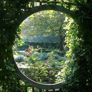 Zazrir's profile picture