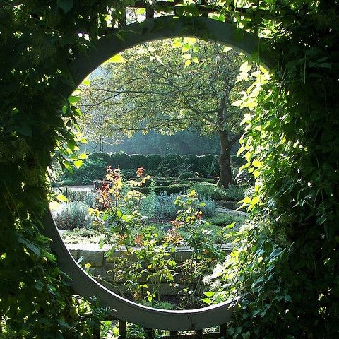 Zazrir profile picture