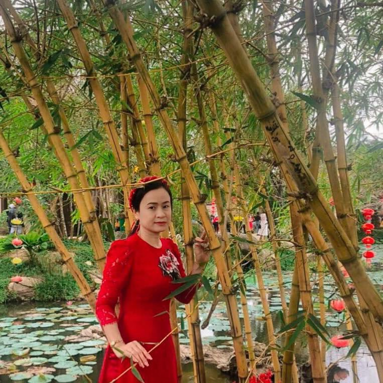 Ho Hong Dam profile picture