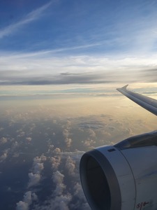 Angel Limprofile picture