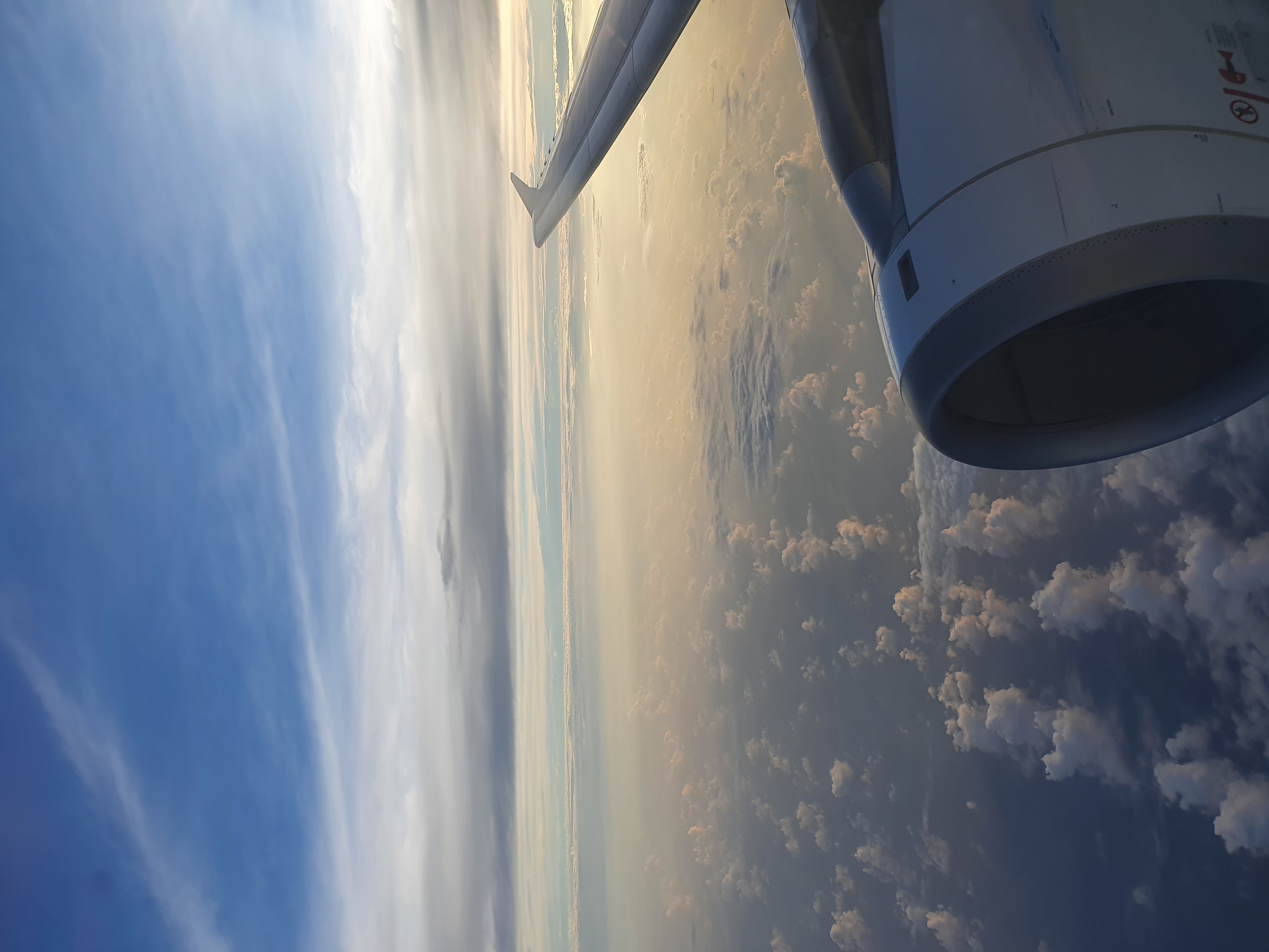 Angel Lim profile picture