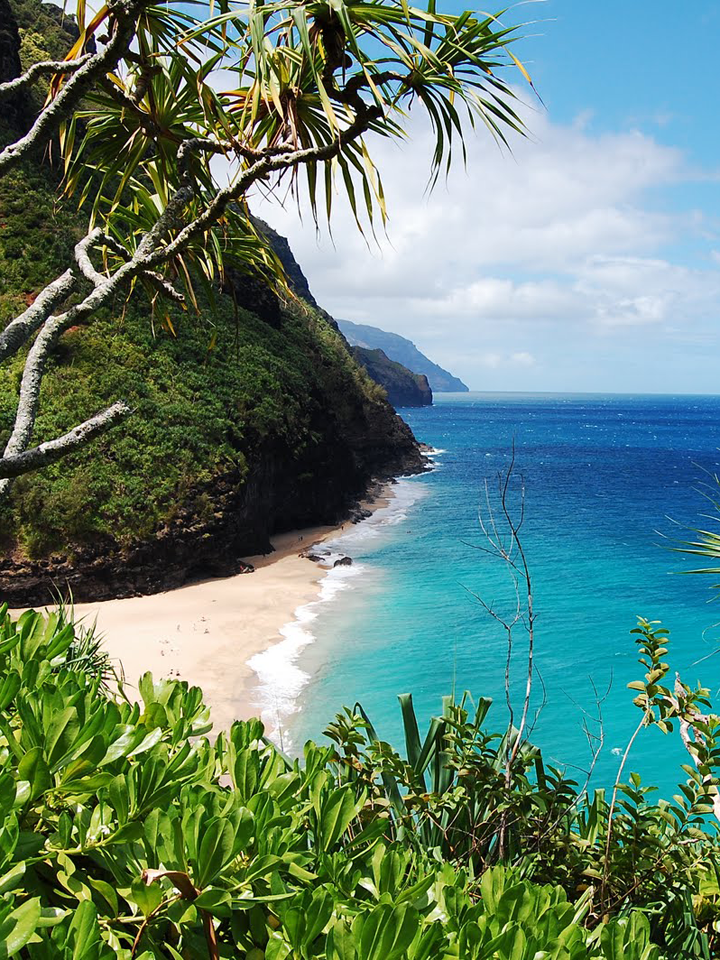 Chotikab profile picture