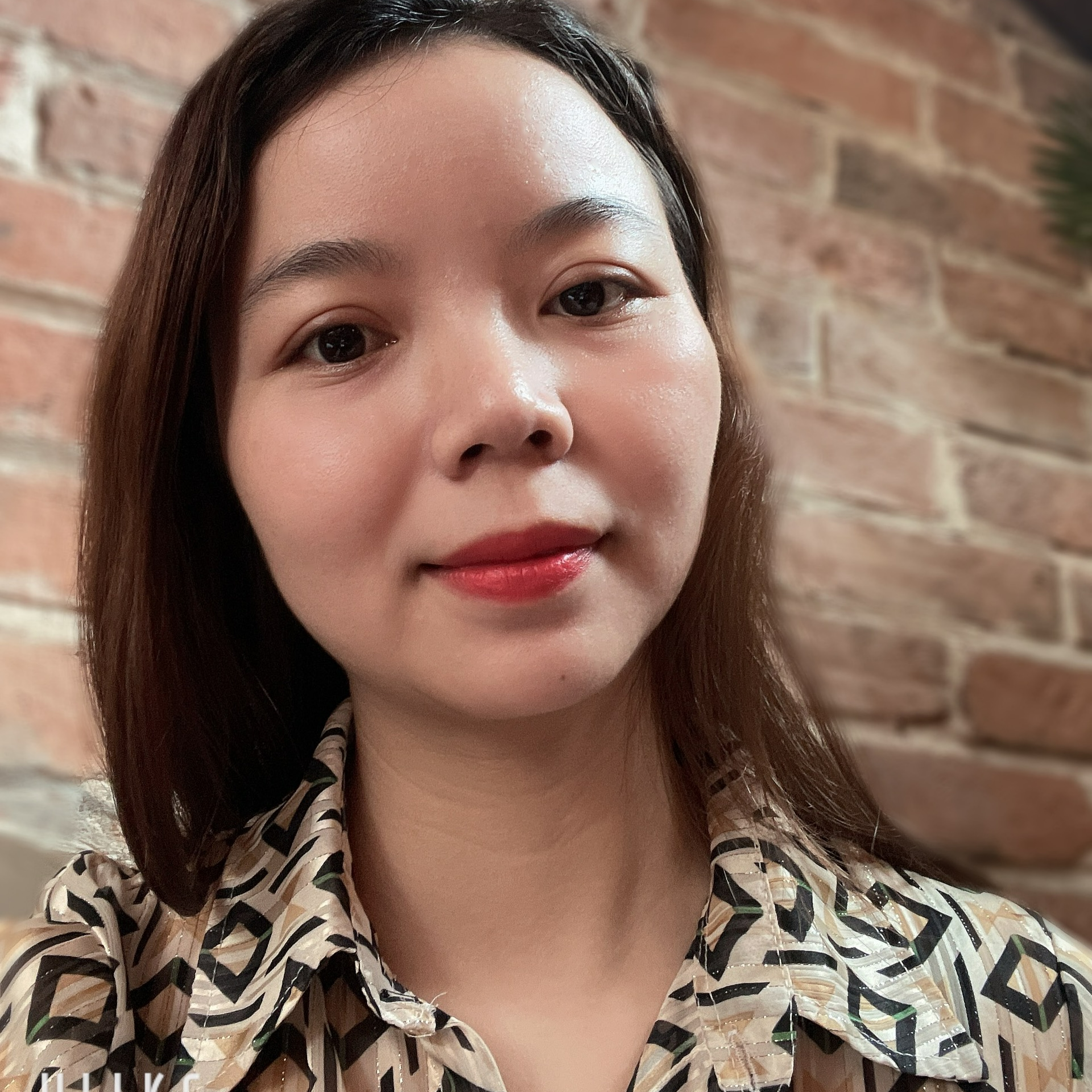 Pham Phuong Hoi profile picture