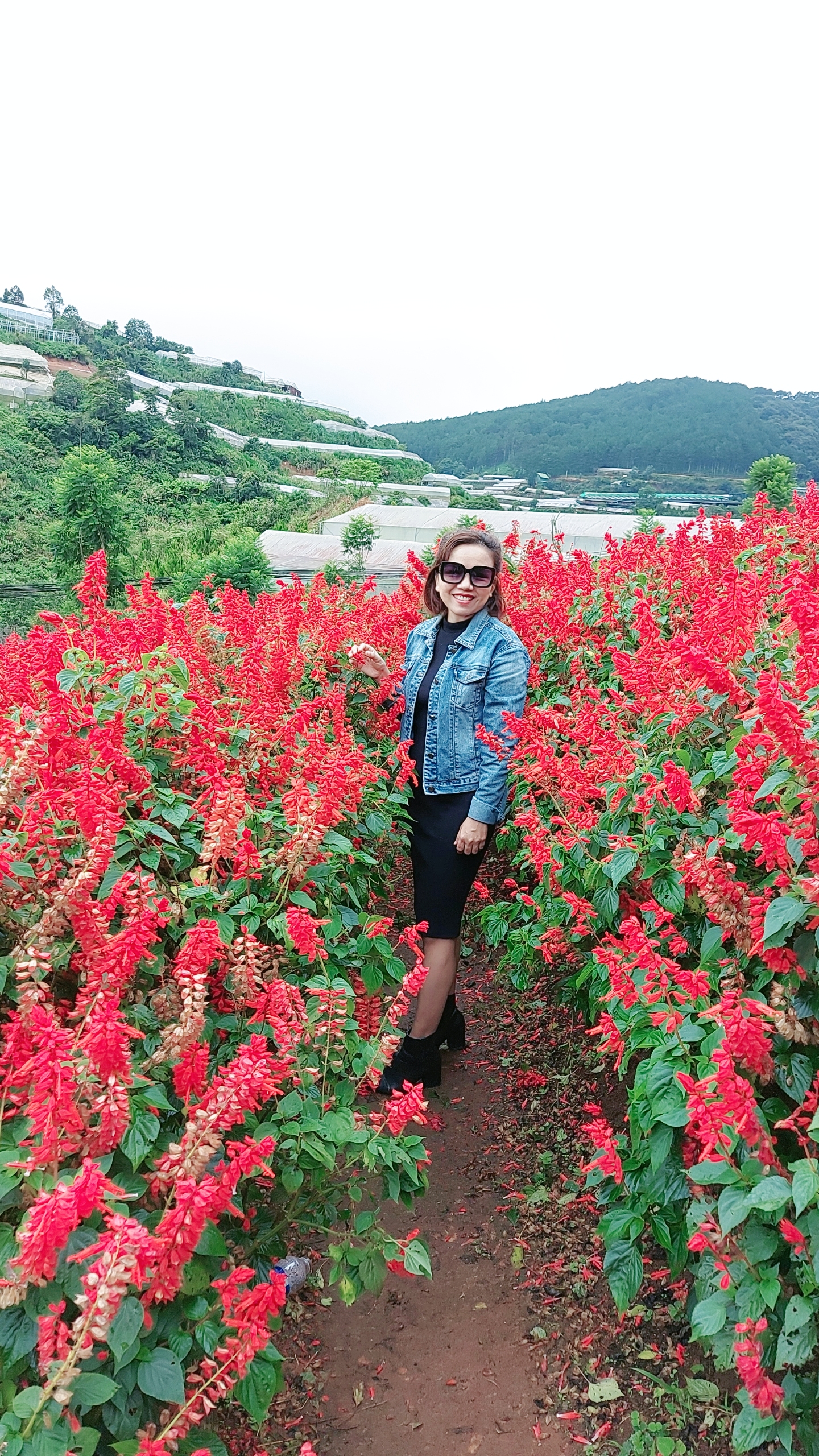 Dang Thi Nhung profile picture