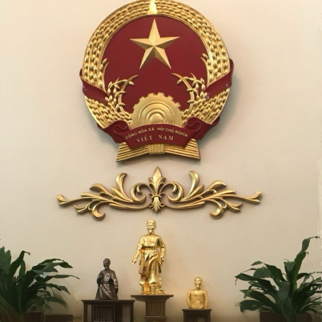 David Vo  profile picture