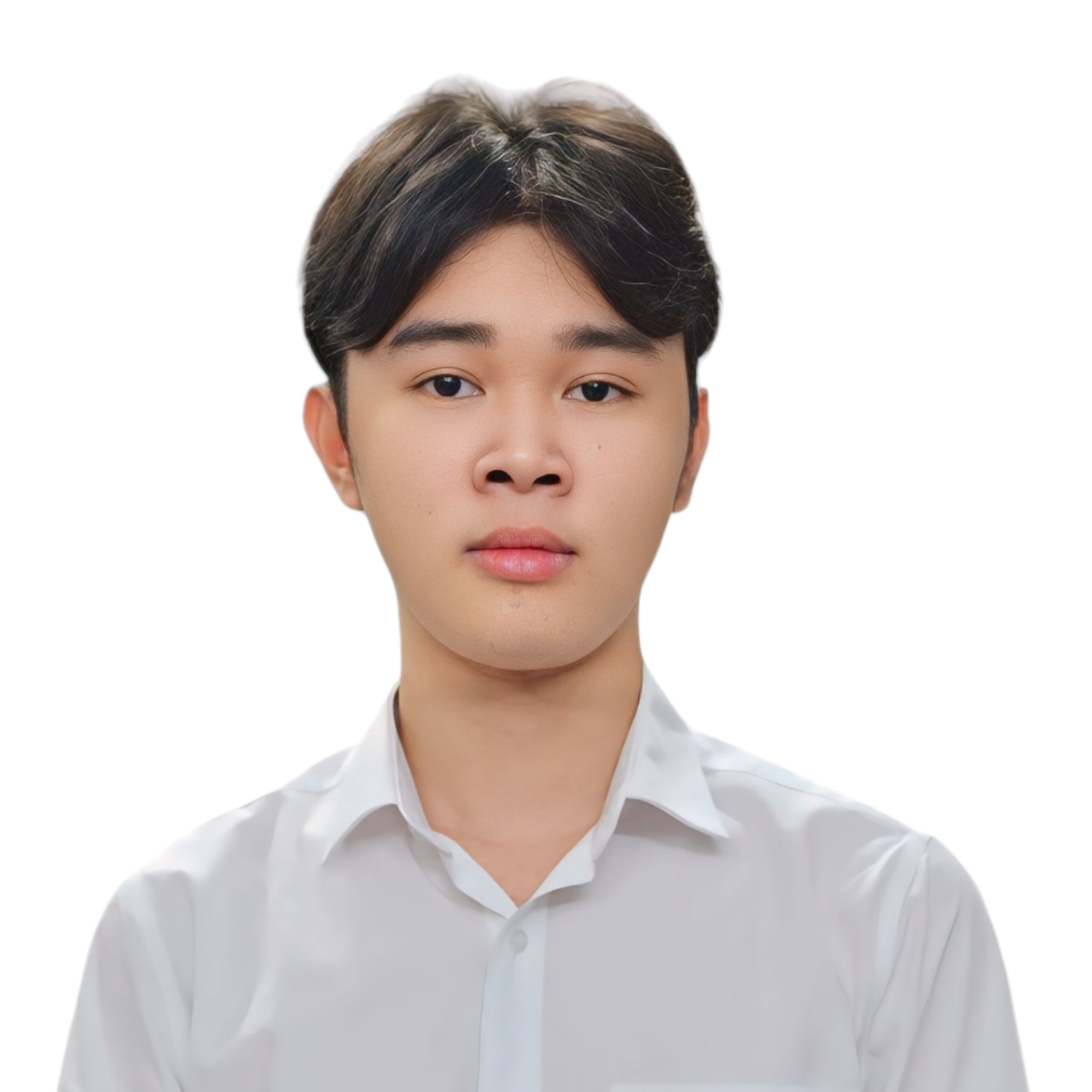 Le Tran Phu profile picture