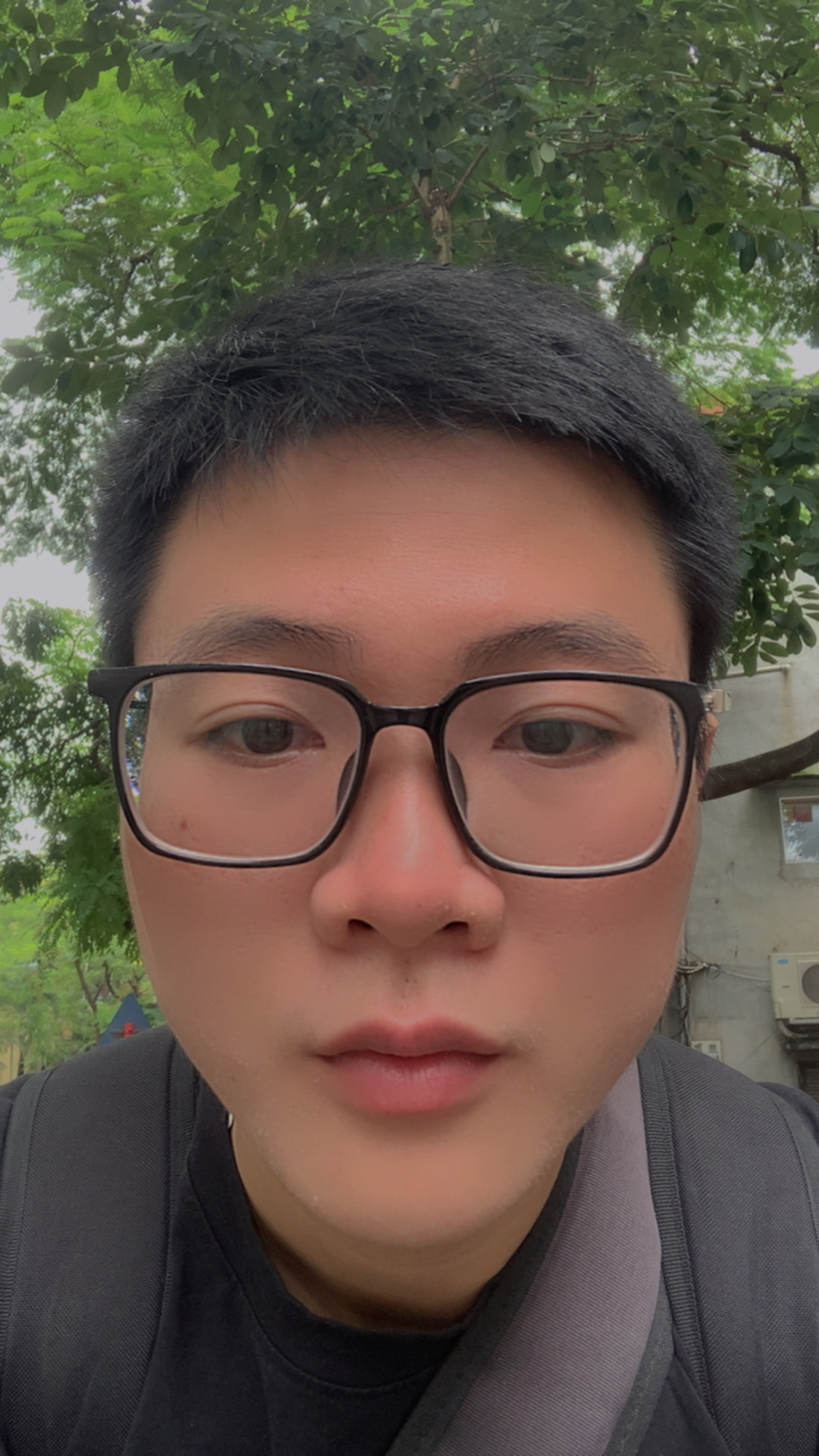 Quang Truc profile picture
