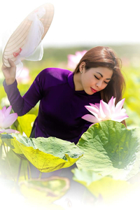 Nguyen Thi Hong Le's profile picture