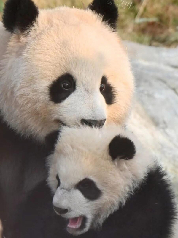 Nguyen Thi Bich Phuong profile picture