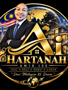 Amir Ise profile picture